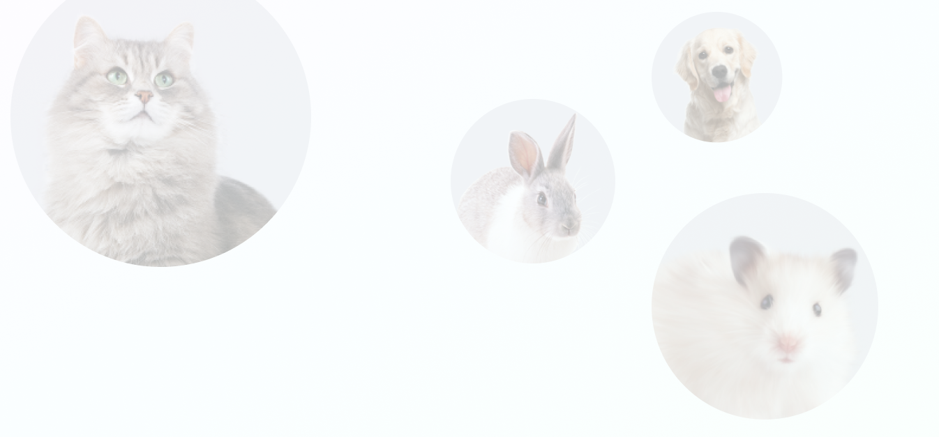 Сервис телеветеринарии MyVet